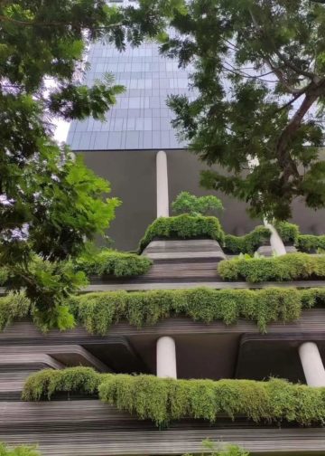 Siasat Singapura Membangun Gedung Megah Tanpa Boros Energi