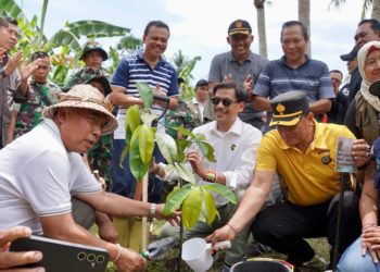 Ramai-ramai Menanam Pohon di Blimbingsari, Jembrana