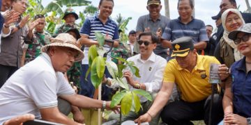 Ramai-ramai Menanam Pohon di Blimbingsari, Jembrana