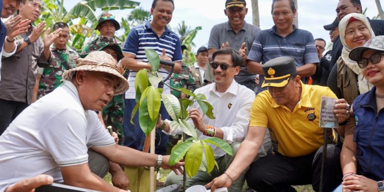 Ramai-ramai Menanam Pohon di Blimbingsari, Jembrana