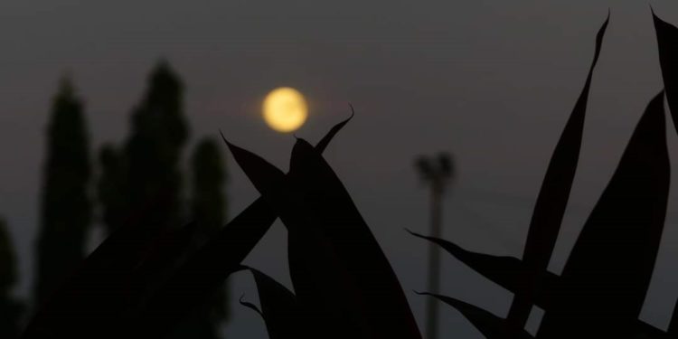 Di Antara Penyair dan Karya, Siapa yang Lebih Dulu Mati?