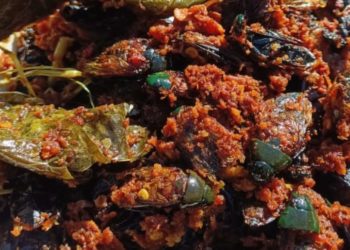 Klipes Sune Cekuh, Kumbang Air Goreng Khas Desa Kedis