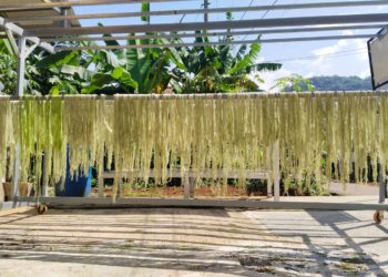 Berkunjung dan Belajar ke Subang, Kota Nanas