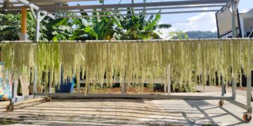 Berkunjung dan Belajar ke Subang, Kota Nanas