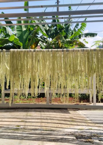 Berkunjung dan Belajar ke Subang, Kota Nanas