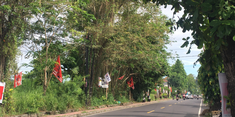 Nasib Pohon di Hari Spesial,  Berhias Molek Penuh Alat Peraga Kampanye