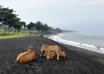Pantai Segara Wilis, Pasir Hitam yang Lembut dan Langit Penuh Warna