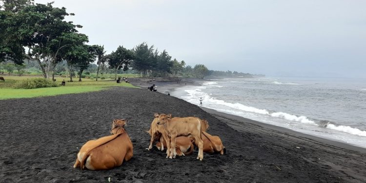 Pantai Segara Wilis, Pasir Hitam yang Lembut dan Langit Penuh Warna