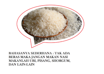 Kenaikan Harga Beras dan Penyederhanaan Logika Berbahasa