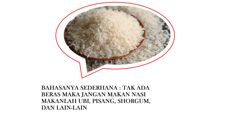 Kenaikan Harga Beras dan Penyederhanaan Logika Berbahasa