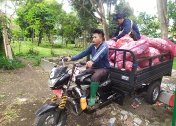 Cerita dari Jalan Raya Sisi Hutan Bali Barat: Hiburan Monyet dan Pahlawan Jalanan