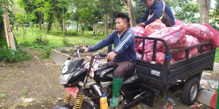 Cerita dari Jalan Raya Sisi Hutan Bali Barat: Hiburan Monyet dan Pahlawan Jalanan