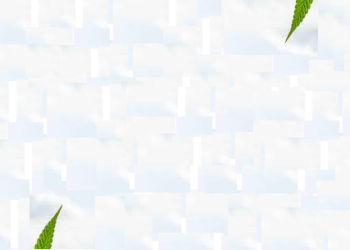 Memikirkan Delik dan Hukum Jika Ganja Dipakai Campuran Perkedel, Soto, atau Sambal