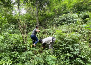 Yayasan IDEP Memperkenalkan Sumur Pemanen Air Hujan di Desa Munduk