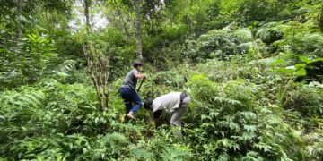 Yayasan IDEP Memperkenalkan Sumur Pemanen Air Hujan di Desa Munduk