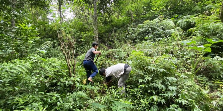 Yayasan IDEP Memperkenalkan Sumur Pemanen Air Hujan di Desa Munduk