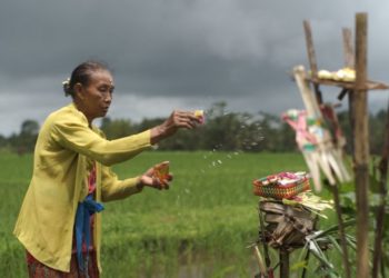 Banjar Pagi dan Ritual Padi