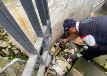 Suka Duka Pembaca Water Meter PDAM: Diprotes Pelanggan, Digigit Anjing, sampai Bertemu Ular pun Sudah Biasa