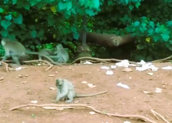 Akankah Mereka Mengemis Selamanya di Tepi Jalan Itu?