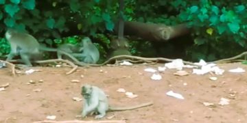 Akankah Mereka Mengemis Selamanya di Tepi Jalan Itu?