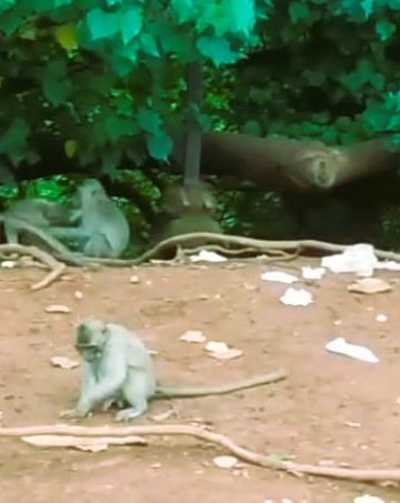 Akankah Mereka Mengemis Selamanya di Tepi Jalan Itu?