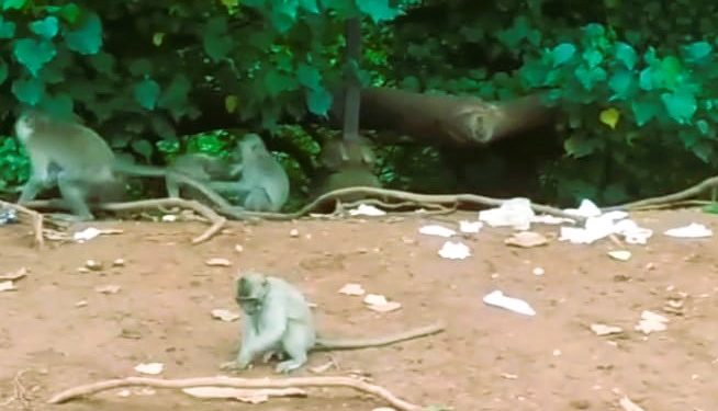 Akankah Mereka Mengemis Selamanya di Tepi Jalan Itu?