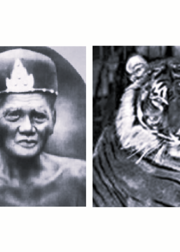 Harimau Bali di Bali Utara Sekitar Tahun 1919: Dokumen Langka dari “Kidung Yadnyeng Ukir” Karya Ida Pedanda Ngurah