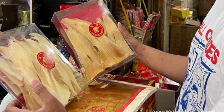 Simposium Hiu dan Pari: Butuh Ide Segar Untuk Konservasi Spesies Terancam Punah