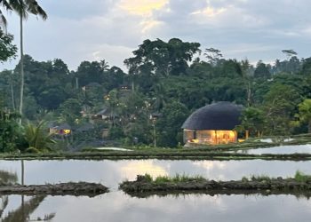 Merenung dari Rumah Kayu Tengah Sawah di Tegallalang…