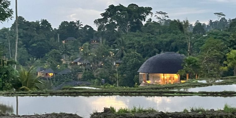 Merenung dari Rumah Kayu Tengah Sawah di Tegallalang…