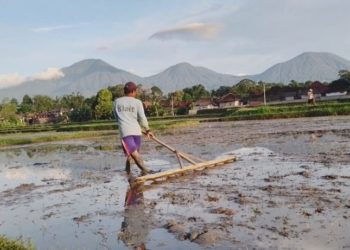 Menghadang “Kanibalisme” Subak