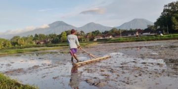 Menghadang “Kanibalisme” Subak