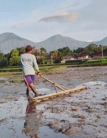 Menghadang “Kanibalisme” Subak