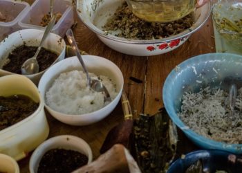 Gala Dinner, “Diplomasi Paon” Kelas Dunia  