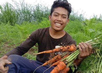 Edi Juliana, Pemuda Pelopor Wakil Bali, Pemuda Tamblingan yang Tak Bosan Urus Pertanian