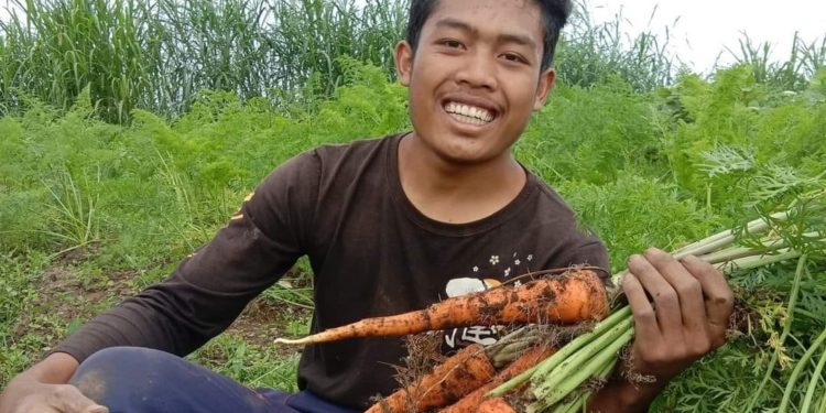 Edi Juliana, Pemuda Pelopor Wakil Bali, Pemuda Tamblingan yang Tak Bosan Urus Pertanian