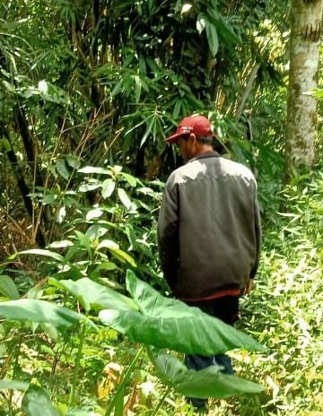 “Asuh Kayuan”, Program Mengasuh Mata Air di Desa Pedawa
