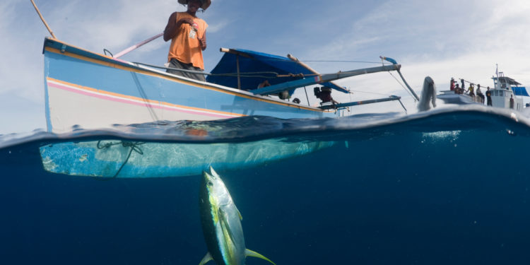 Koalisi Indonesia, Filipina, dan Vietnam Dorong Perlindungan Stok Tuna Madidihang di Wilayah Samudra Pasifik Barat