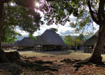 Terra Mater, Renungan Tentang Hutan dan Kepemilikan Bersama dari Dusun Menelima, NTT