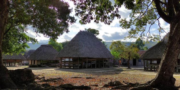 Terra Mater, Renungan Tentang Hutan dan Kepemilikan Bersama dari Dusun Menelima, NTT