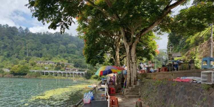 Pedagang Kaki Lima di Pinggiran Danau Beratan: Dianggap Mengganggu, Dikejar-kejar Petugas