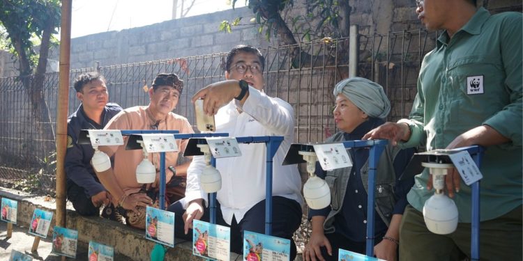 Kelompok Pelestari Penyu Kurma Asih di Jembrana Kini Menjaga Penyu dengan “Adopt Nest Technology”