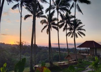 Kopi dan Pemandangan Alam, Kopi dan Kelestarian Alam