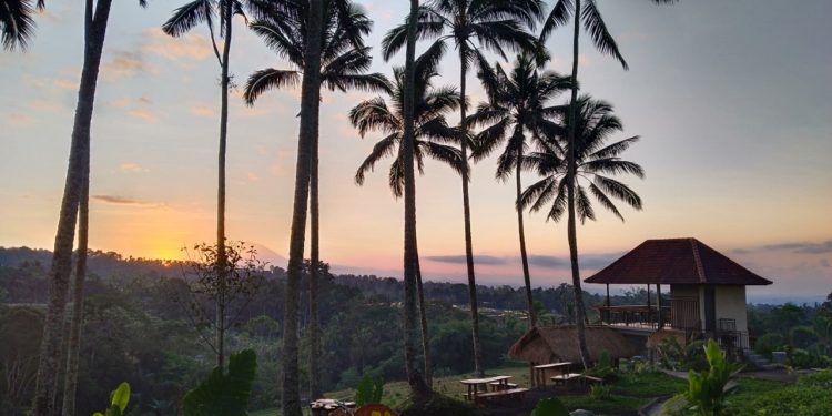 Kopi dan Pemandangan Alam, Kopi dan Kelestarian Alam