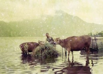 Aneka Rasa di Tanah Kaldera