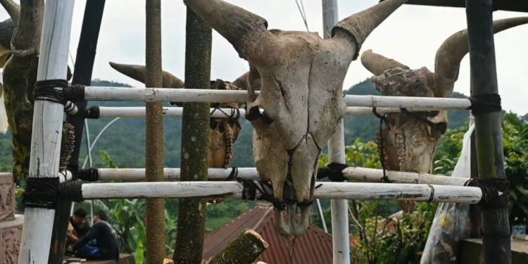 Seni Instalasi Karya Polenk Rediasa Dibuat Dari Tulang Tengkorak “Sapi Duwe” di Desa Tambakan-Buleleng