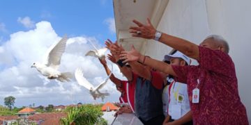 Pelepasan Burung Dara, Simbol Kebebasan dan Harapan