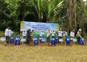 12.000 Pohon untuk Kurangi Emisi Karbon – Ini Program HUT ke-12 AirNav Indonesia