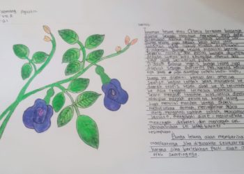 Tanaman dan Pelajaran Seni Rupa: Gambar Ilustrasi untuk Mendekatkan Usadha Kuno kepada Generasi Milenial