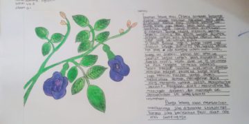 Tanaman dan Pelajaran Seni Rupa: Gambar Ilustrasi untuk Mendekatkan Usadha Kuno kepada Generasi Milenial